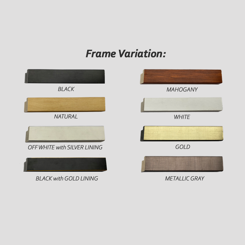 FRAME VARIATION